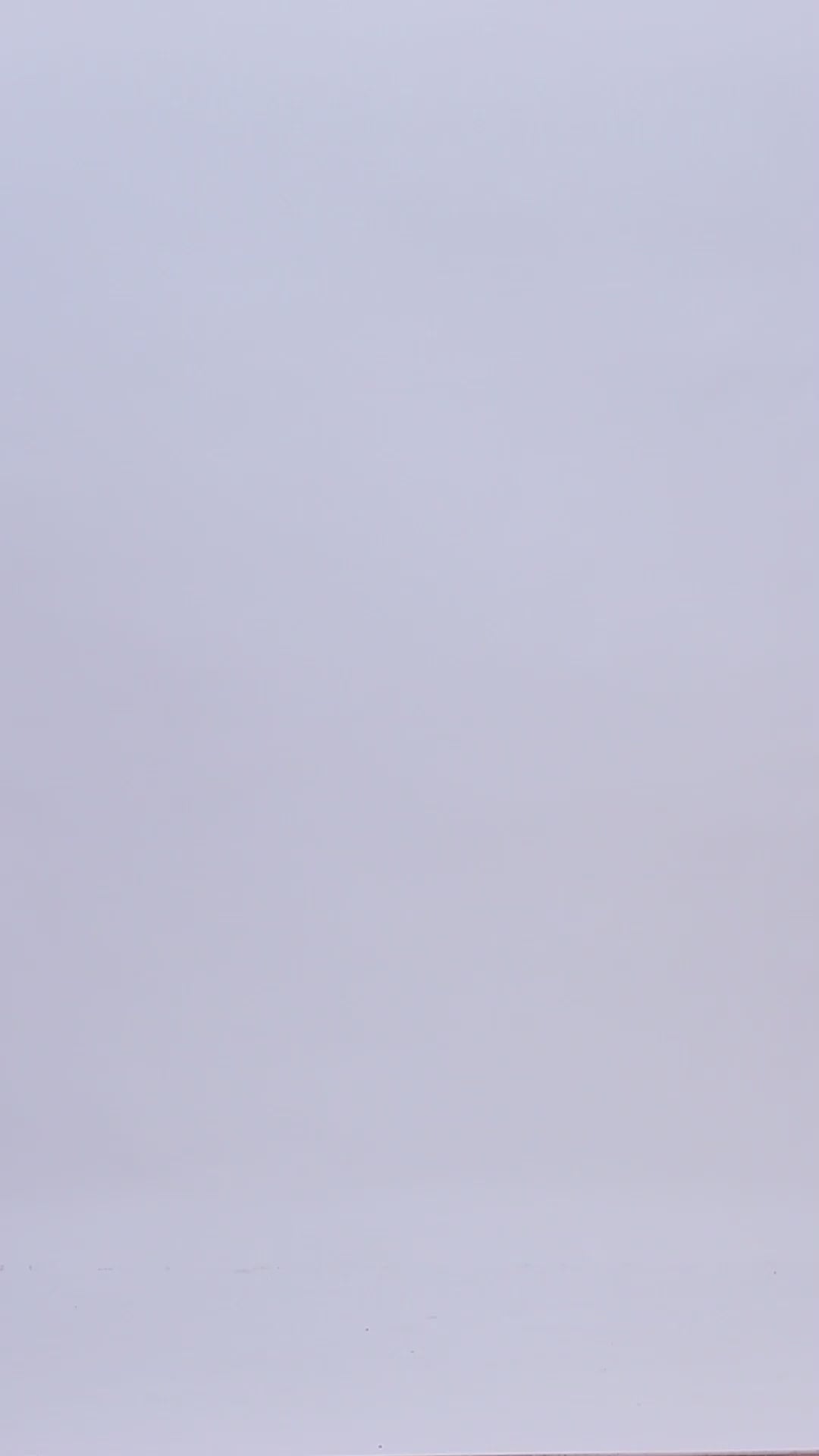 Pashvilas Unisex Designer Cashmere Fine wool Scarf Soft Warm Lightweight Dark Liver Color