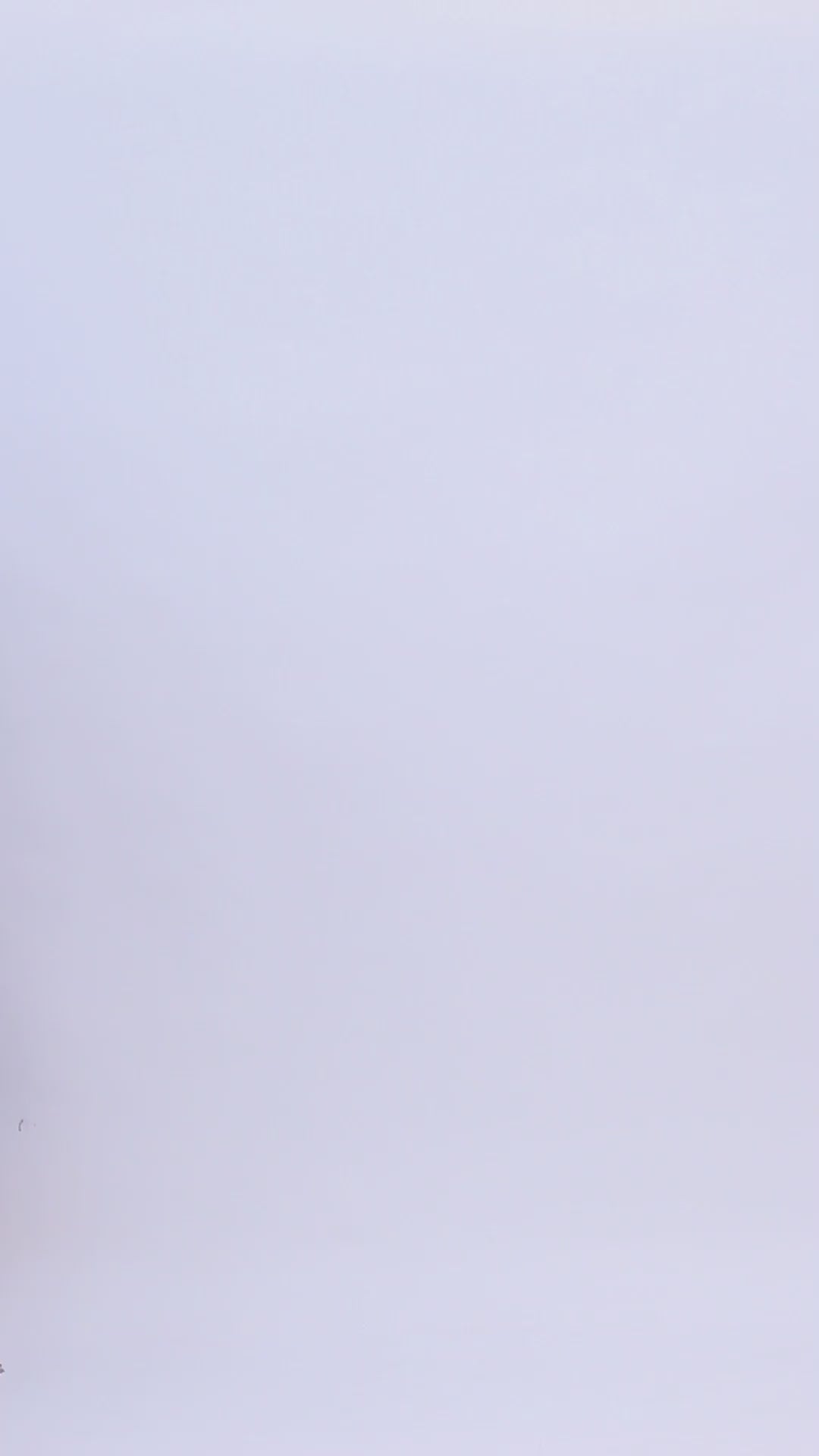 Pashvilas Unisex Solid Cashmere Wool Scarf Navy color