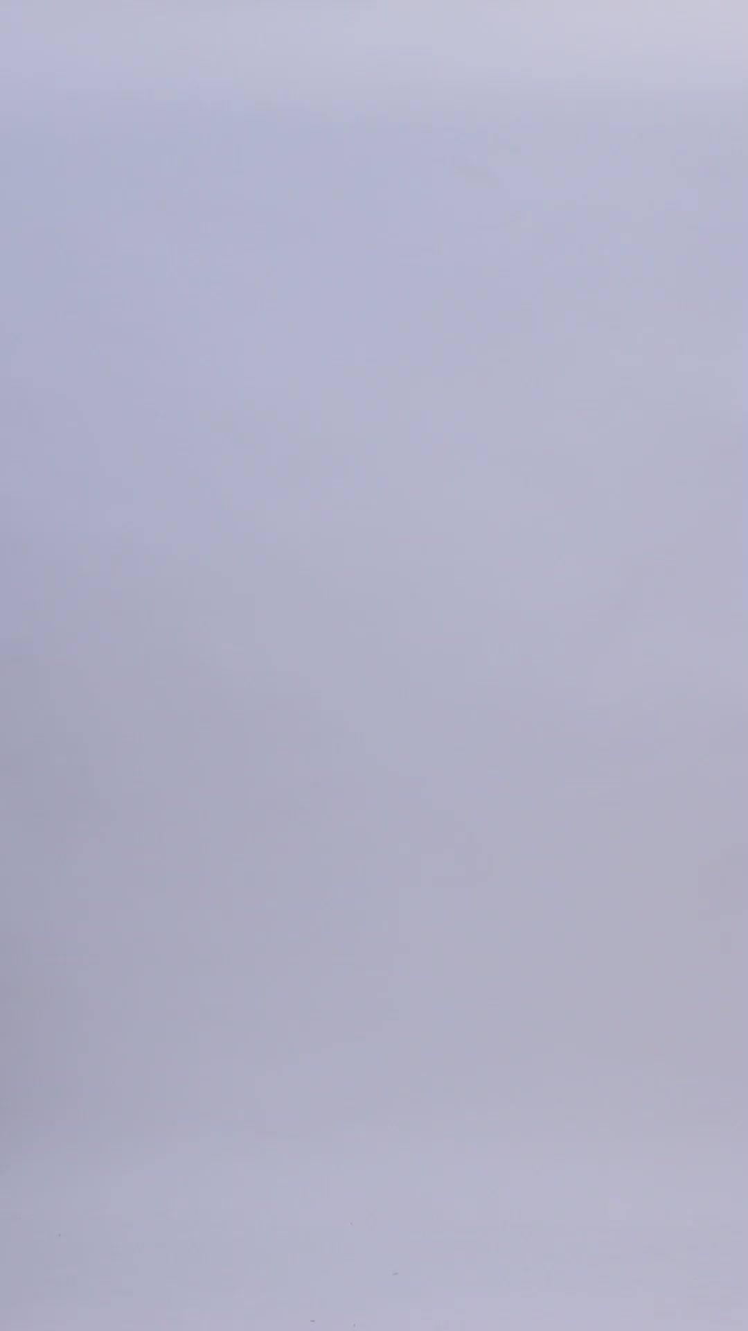 Pashvilas Unisex Designer Cashmere Fine wool Scarf Soft Warm Lightweight Grullo Color