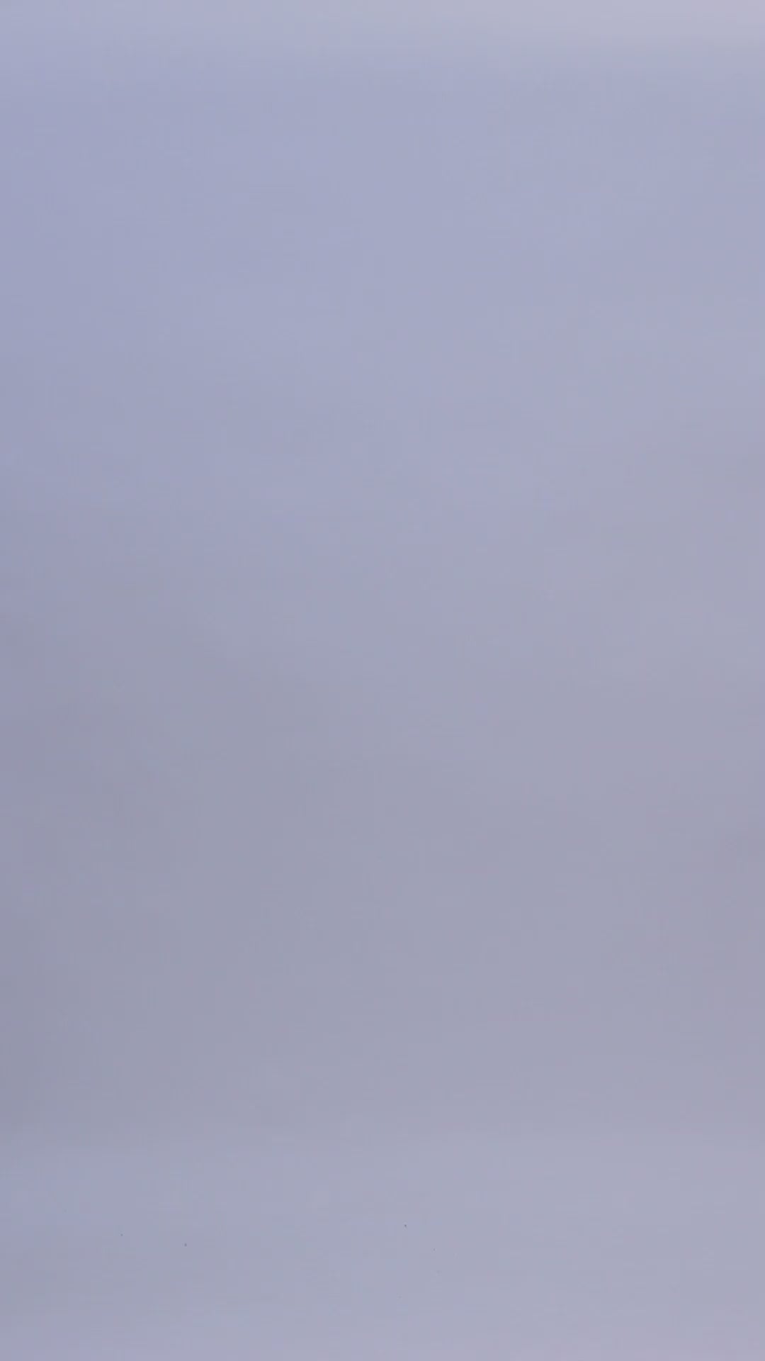 Pash Vilas Unisex Harringbone Design Cashmere Fine wool Scarf Soft Warm Gray Color