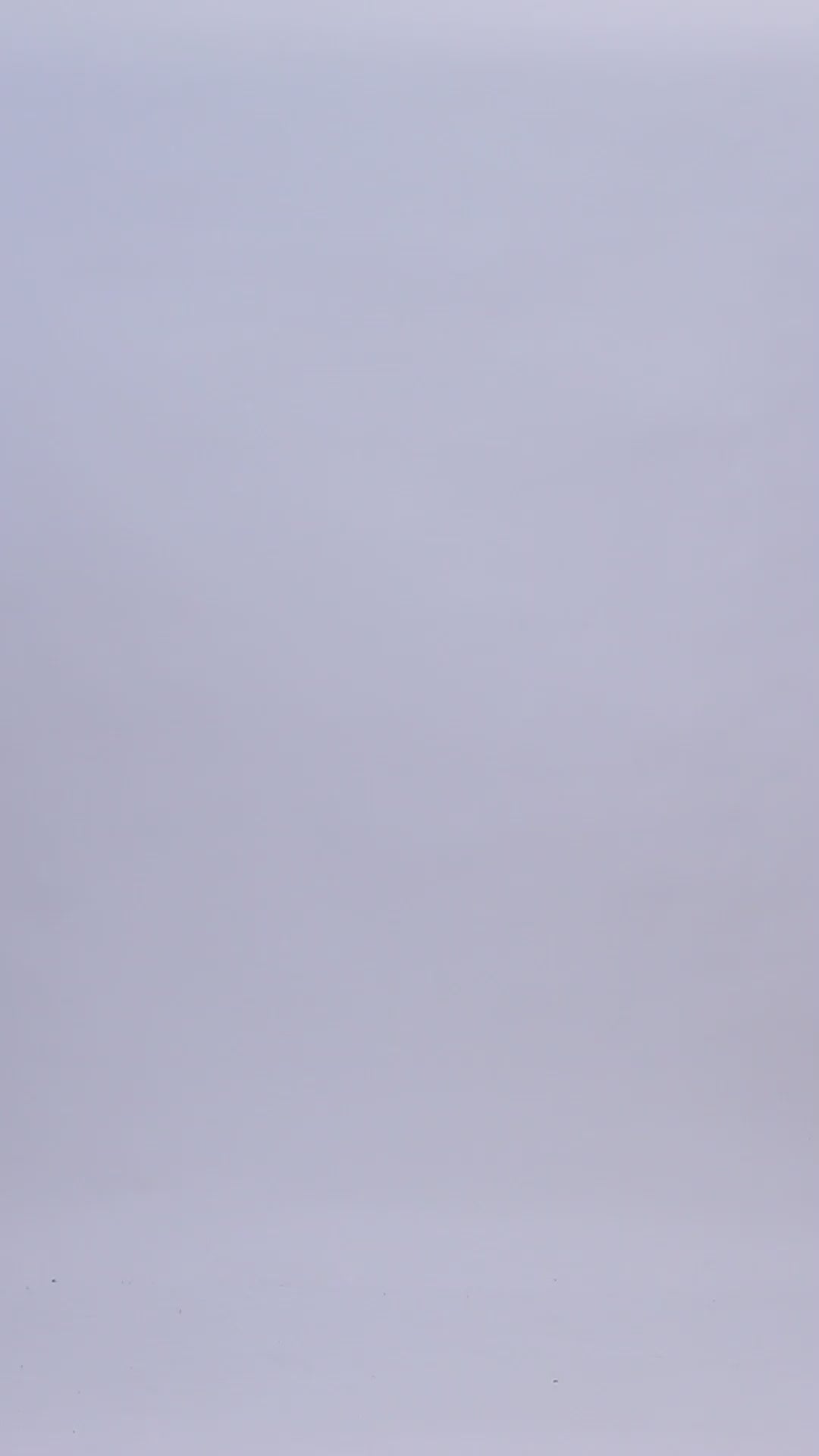 Pashvilas Unisex Designer Cashmere Fine wool Scarf Soft Warm Lightweight Dust Storm Color