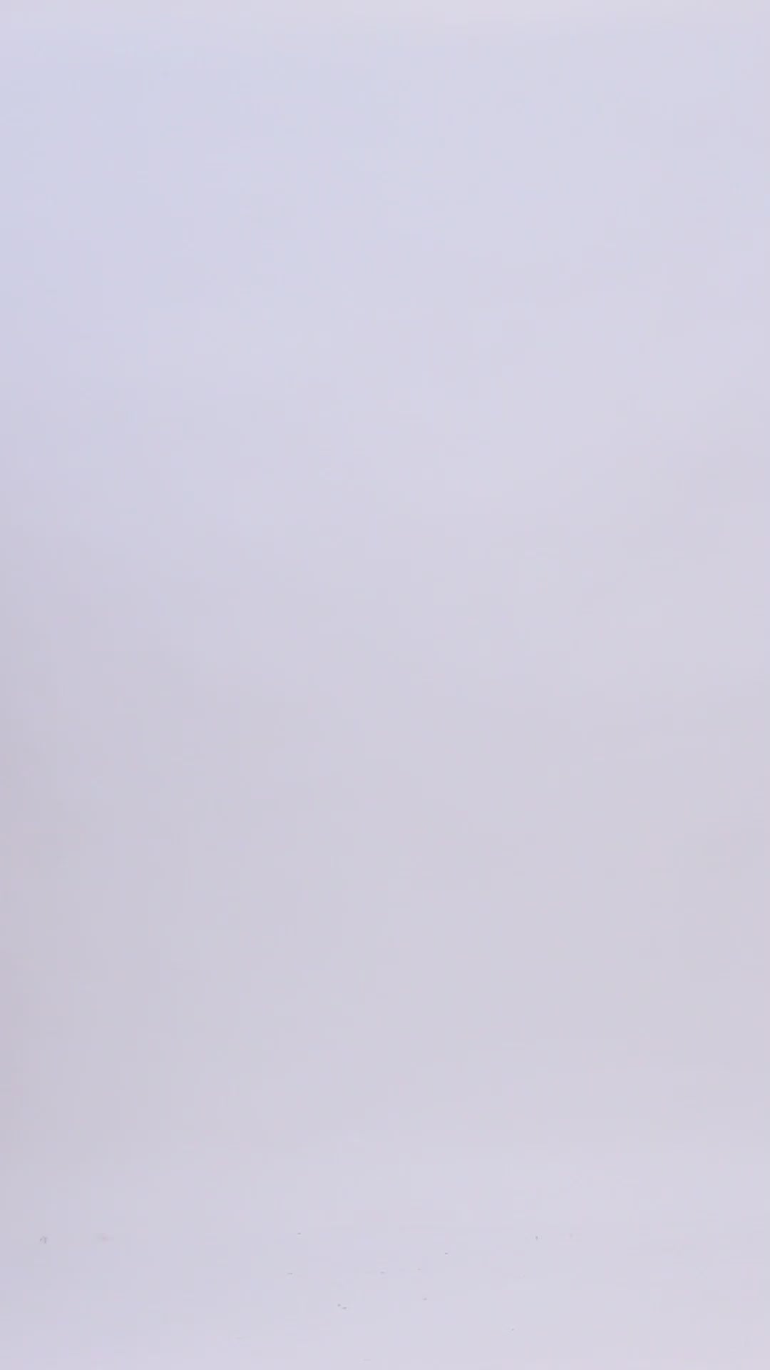 Pash Vilas Unisex Dyed Fishbone Design Cashmere Fine wool Scarf Soft Warm BROWN BLACK Color