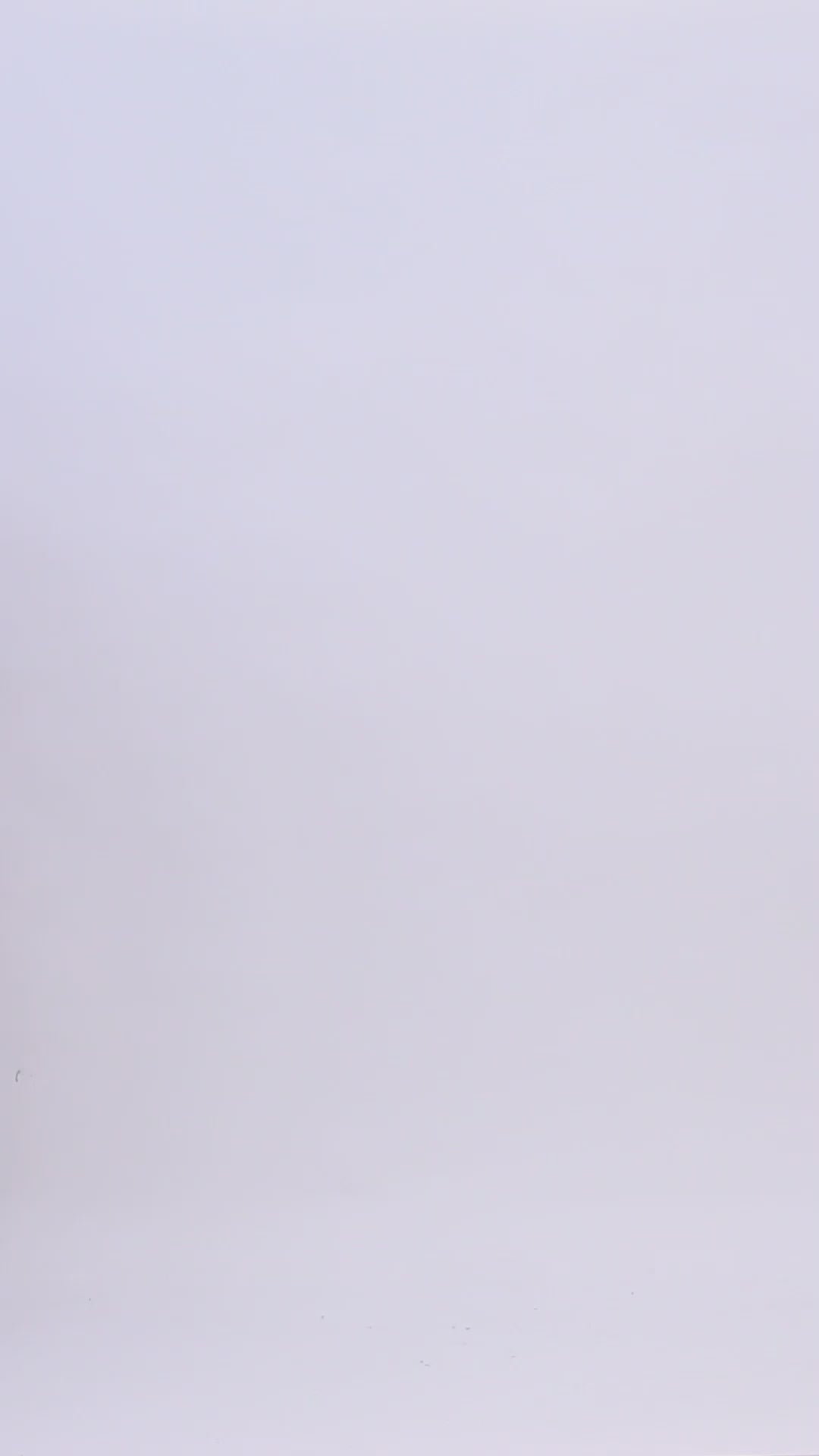 Pash Vilas Unisex Dyed Harringbone Design Cashmere Fine wool Scarf Soft Warm Wine Color